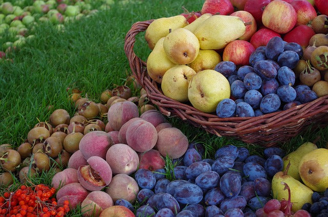 Fruity