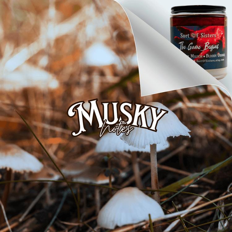 Musky - Sort Of Sisters