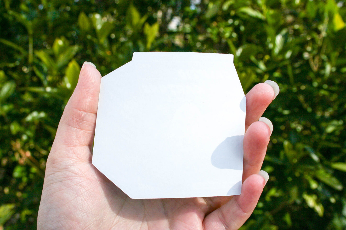 Ghost Cryptid Milk Carton Eco-Sticker